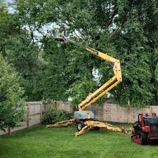 Best Leaf Removal  in Kenhorst, PA