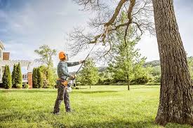 Best Seasonal Cleanup (Spring/Fall)  in Kenhorst, PA