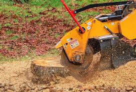Best Lawn Maintenance Plans  in Kenhorst, PA
